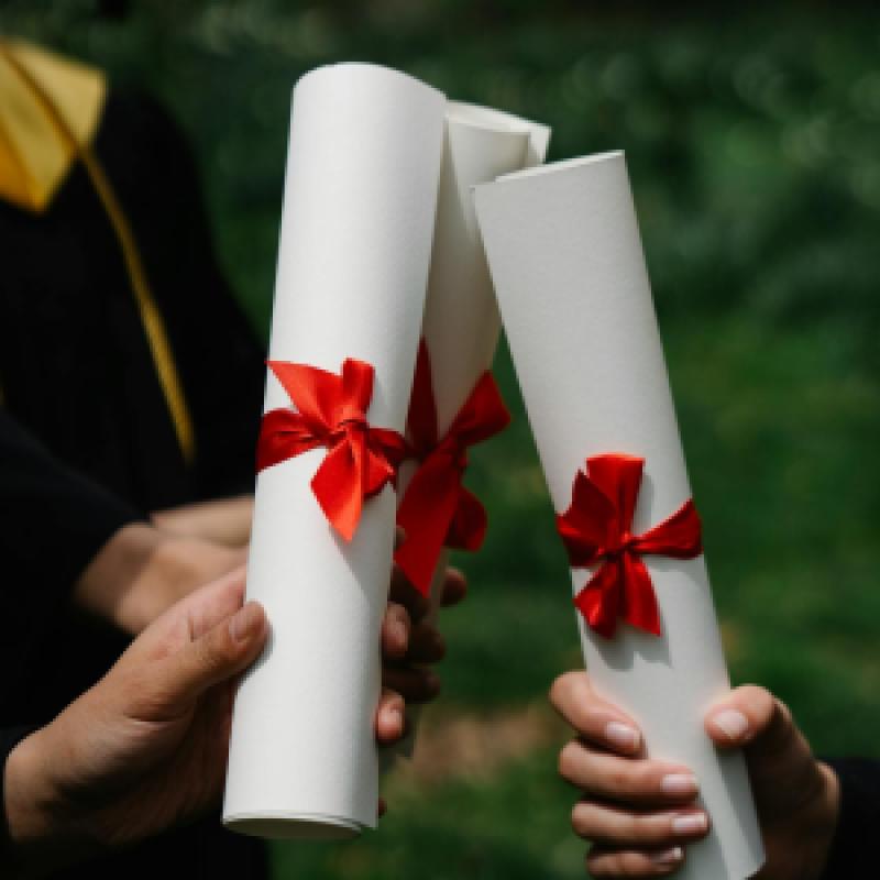 pexels-george-pak-7972736